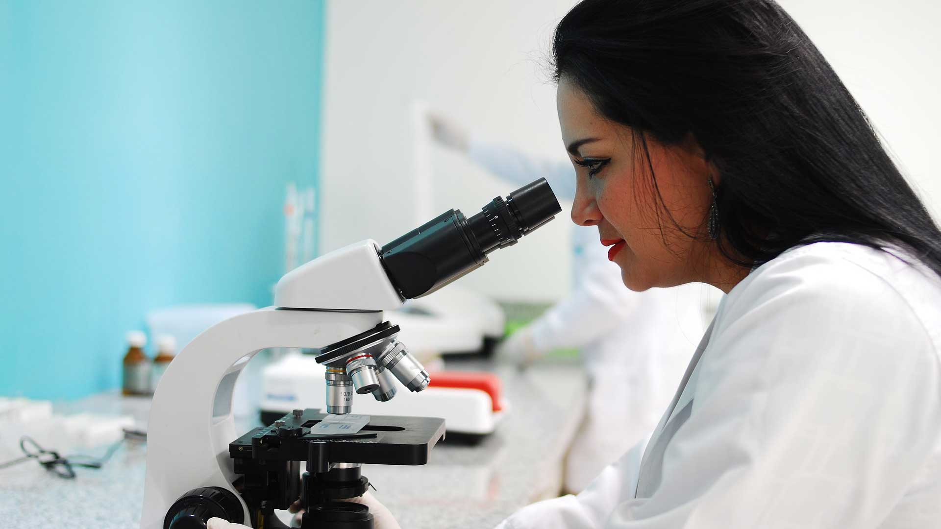 Expert Lab Team